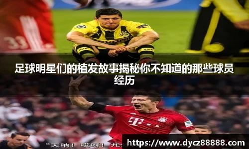 必一·体育(b-sports)